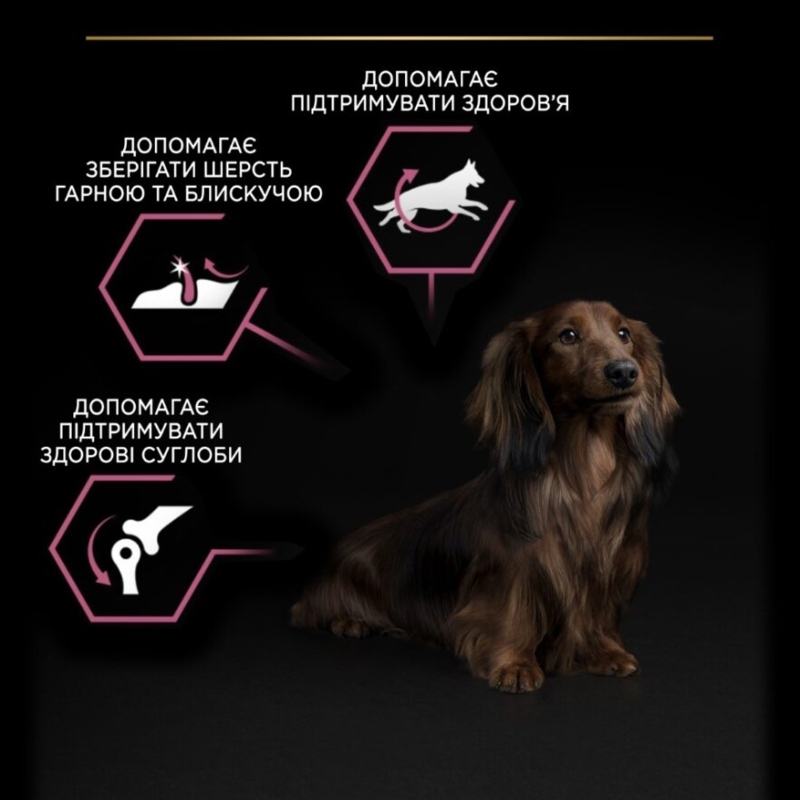 Сухой корм с лососем для собак маленьких пород с чувствительной кожей Purina Pro Plan Small & Mini Sensitive Skin Adult 1+ Salmon Сухой корм с лососем для собак маленьких пород с чувствительной кожей Purina Pro Plan Small & Mini Sensitive Skin Adult 1+ Salmon
