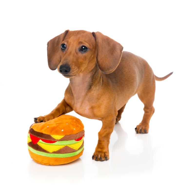 М'яка іграшка для собак Гамбургер з пищалкою FuzzYard Plush Food Hamburger