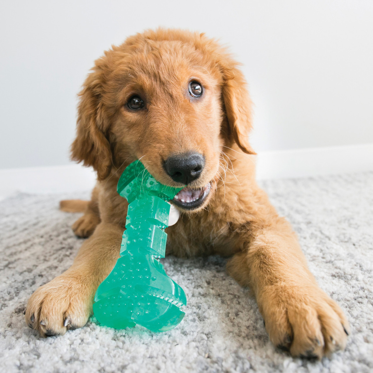 KONG Squeezz Dental Stick Іграшка для чистки зубів собак Жувальна Кістка