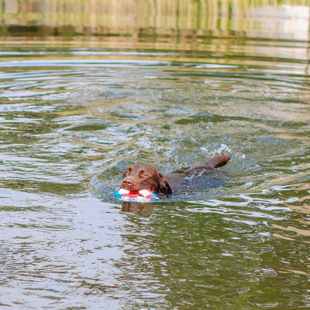 Плаваюча іграшка для собак Рятувальний круг з пищалкою Swimming Nobby