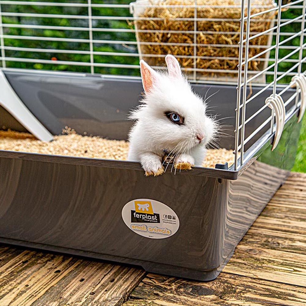 Клітина з годівничкою та будиночком для кроликів та морських свинок Rabbit 100 Ferplast Клітина з годівничкою та будиночком для кроликів та морських свинок Rabbit 100 Ferplast