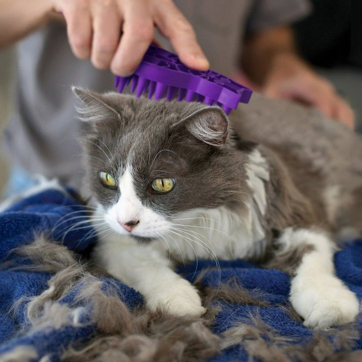 KONG Cat ZoomGroom Резиновая массажная щетка для кошек