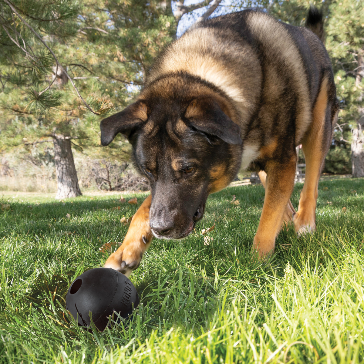 Іграшка для собак Надміцний М'яч для ласощів KONG Extreme Ball W/Hole