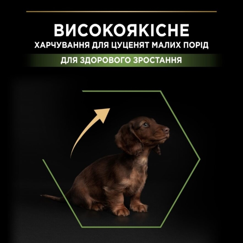 Сухой корм с курицей для здорового развития щенков маленьких пород Purina Pro Plan Small & Mini Healthy Start Puppy Chicken Сухой корм с курицей для здорового развития щенков маленьких пород Purina Pro Plan Small & Mini Healthy Start Puppy Chicken