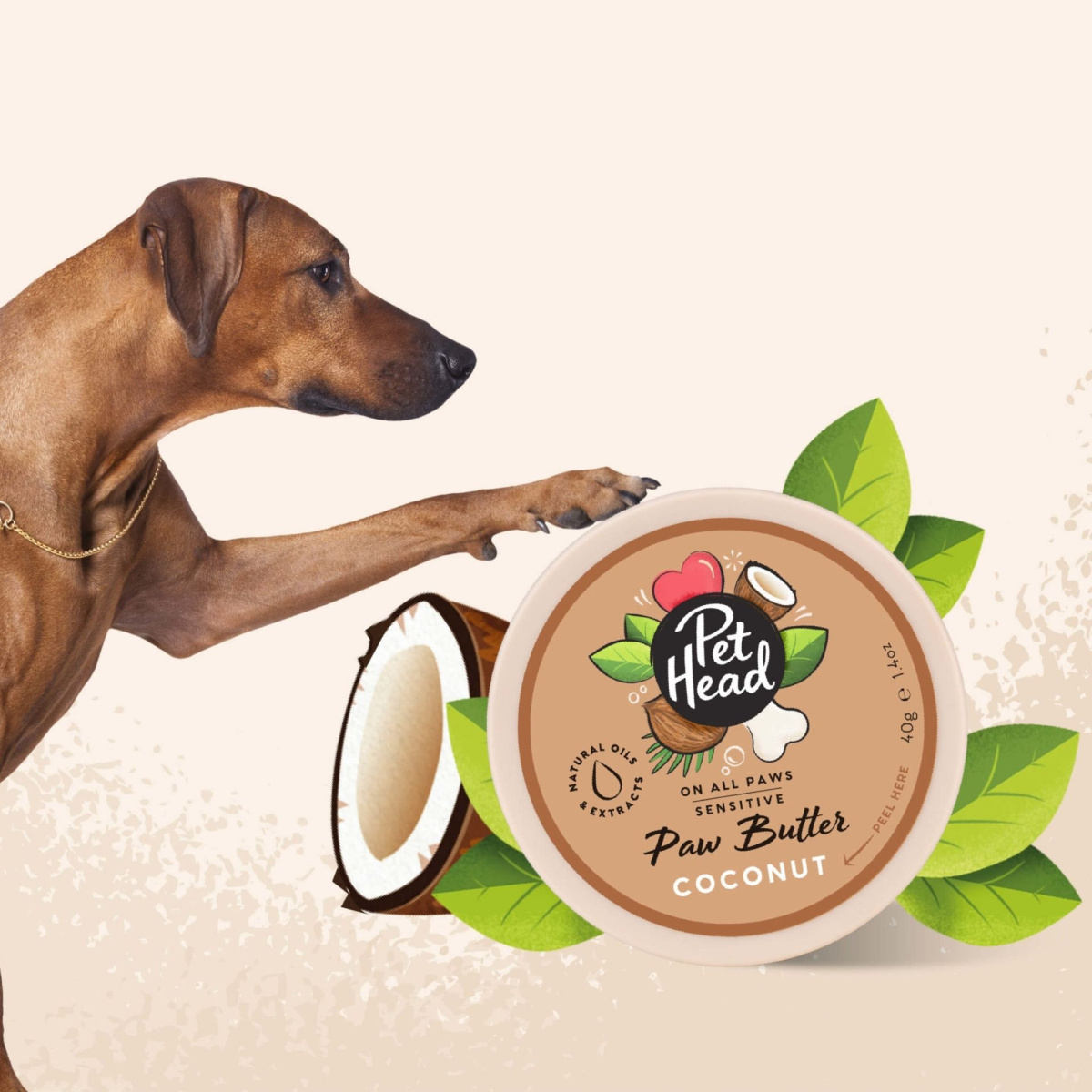 Кокосовый бальзам для собак с сухой кожей носа и лап Pet Head Paw Butter Coconut