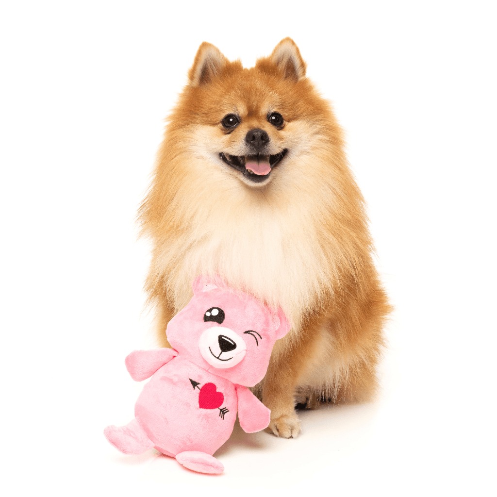 М'яка іграшка для собак Ведмедик з пищалкою FuzzYard Plush Love Bear