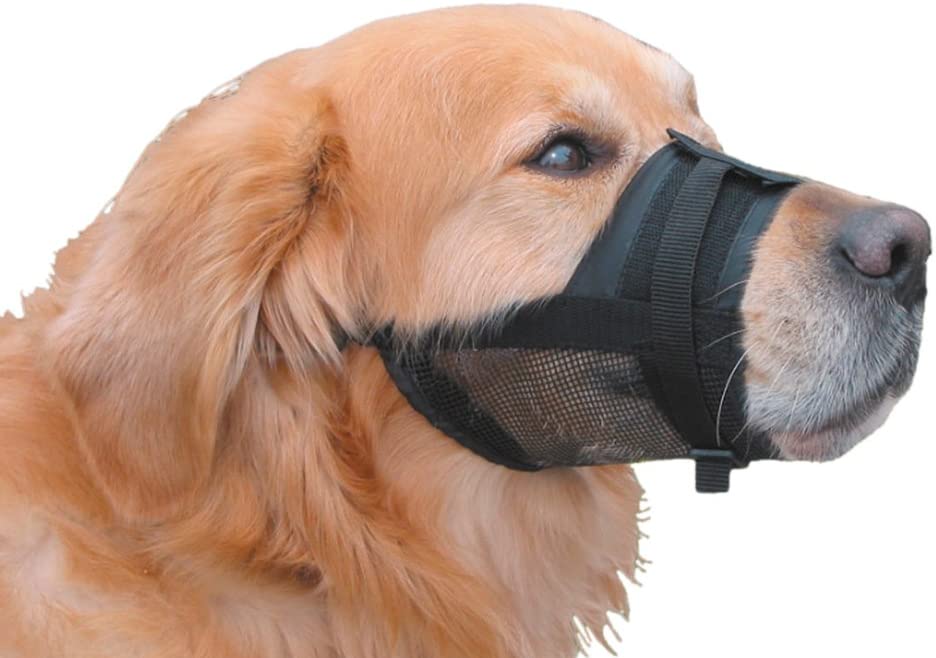 Ветеринарный нейлоновый намордник для собак Adjustable Muzzle Black Nobby