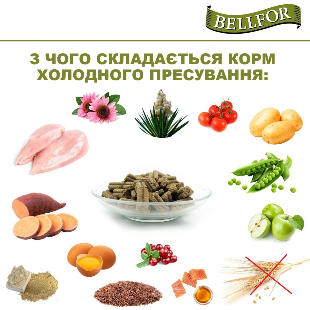 Беззерновой сухой корм для собак холистик холодного прессования с курицей Bellfor Wiesen-Schmaus