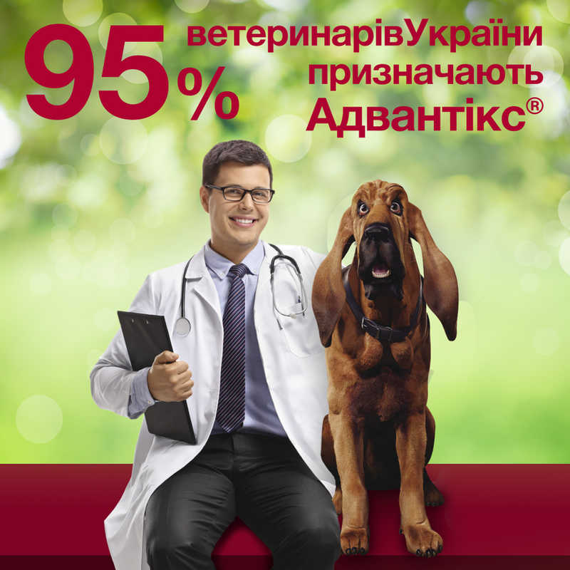 Антипаразитарні краплі для собак вагою 25-40 кг від бліх, кліщів, волосоїдів та вошей Адвантікс Elanco Advantix Dogs