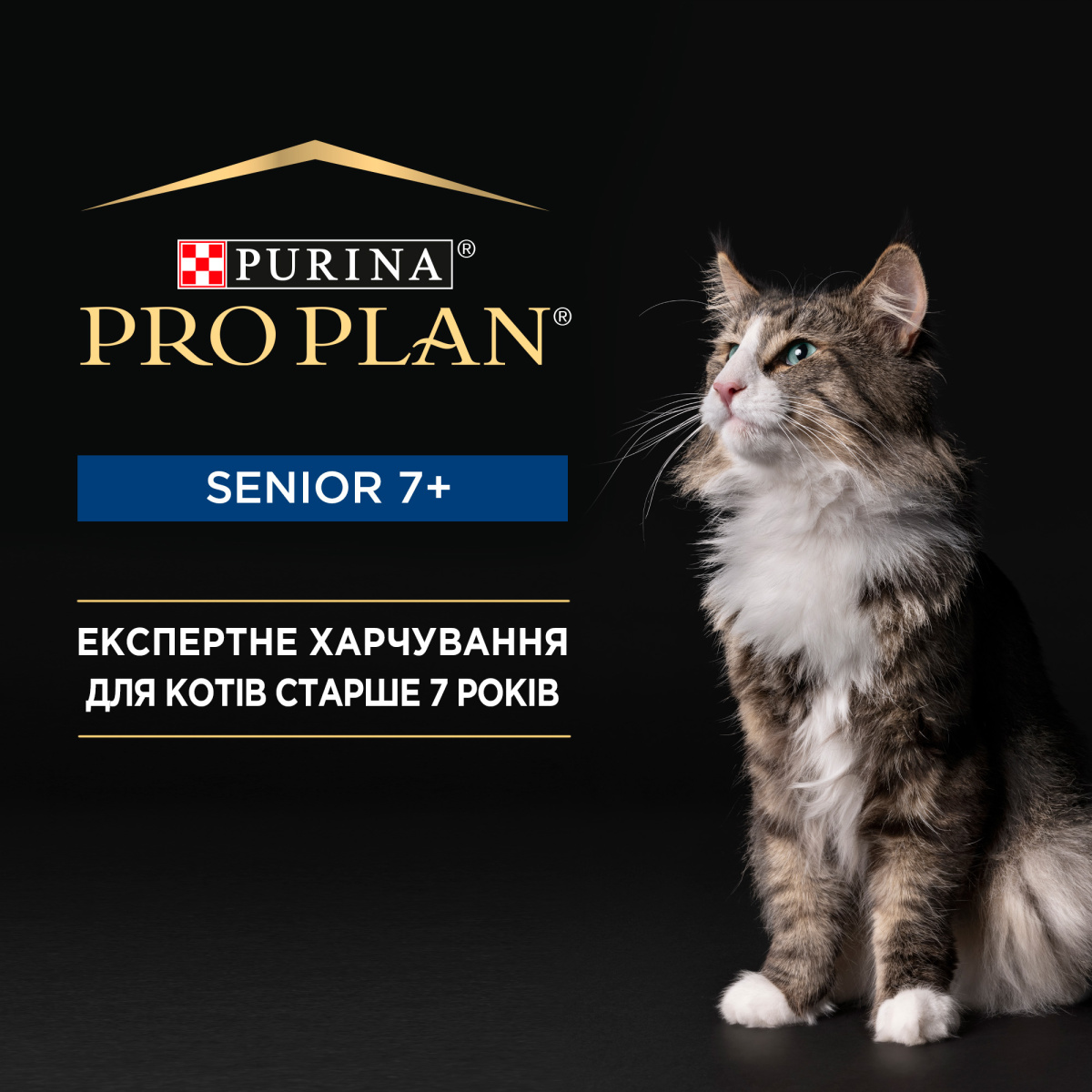 Консерва для дорослих котів віком від 7 років Мус з тунцем Purina Pro Plan Senior 7+ Longevis Tuna Консерва для дорослих котів віком від 7 років Мус з тунцем Purina Pro Plan Senior 7+ Longevis Tuna