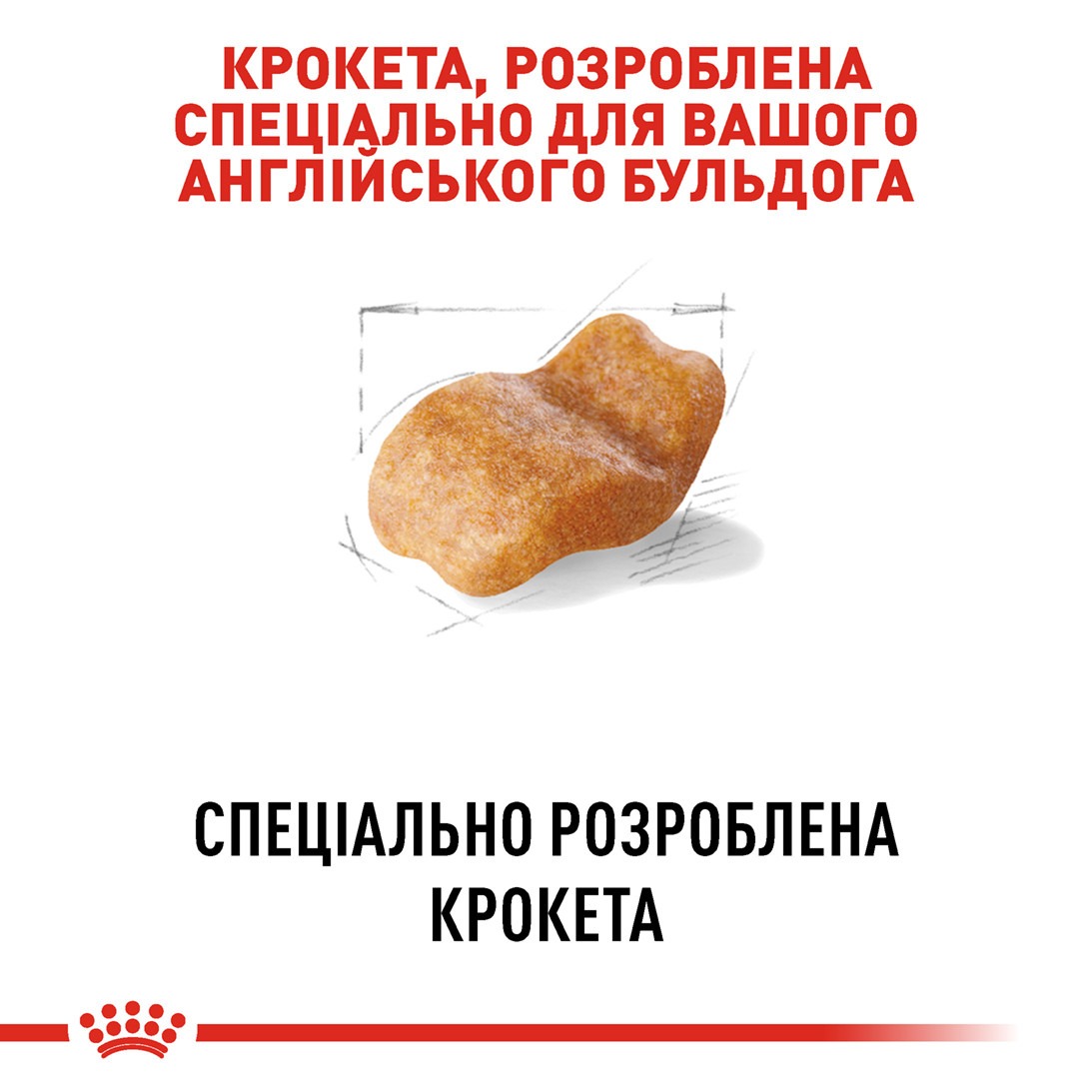 Сухий корм для собак породи Англійський Бульдог віком від 12 місяців Royal Canin Bulldog Adult