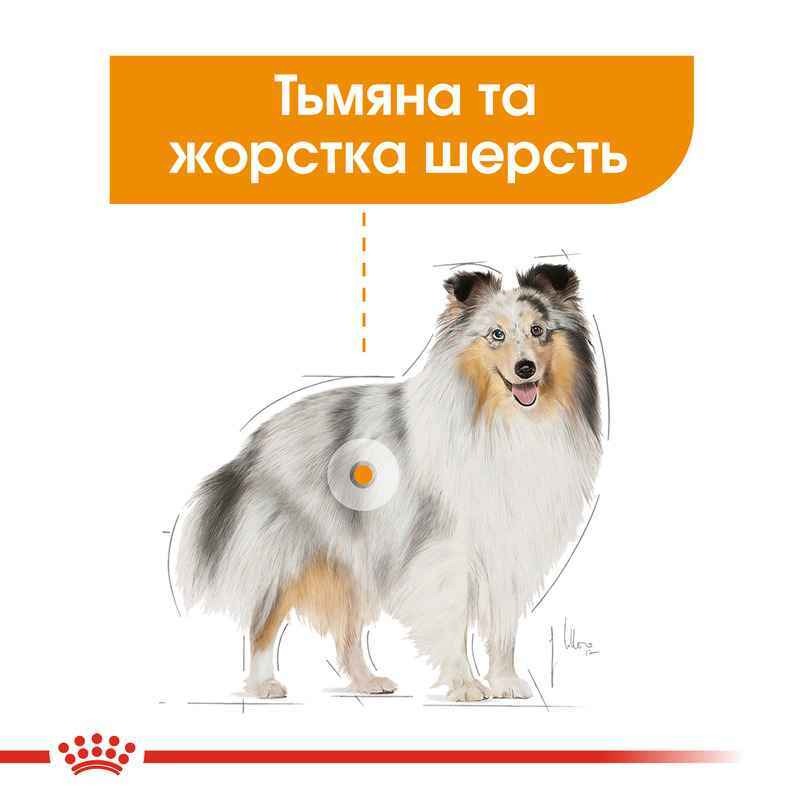 Вологий корм для дорослих собак з тьмяною та жорсткою шерстю Royal Canin Coat Care