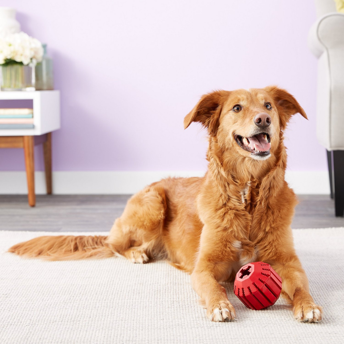 Іграшка для собак Конг М`яч Жувальний для ласощів KONG Stuff-A-Ball