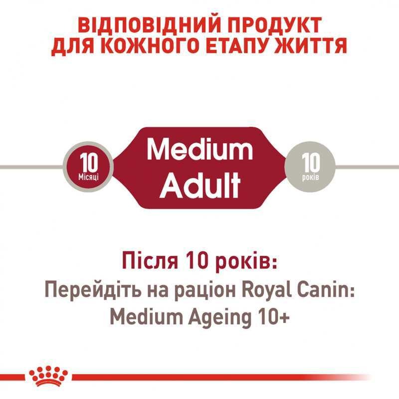 Вологий корм у соусі для дорослих собак середніх порід віком від 1 до 10 років Royal Canin Medium Adult