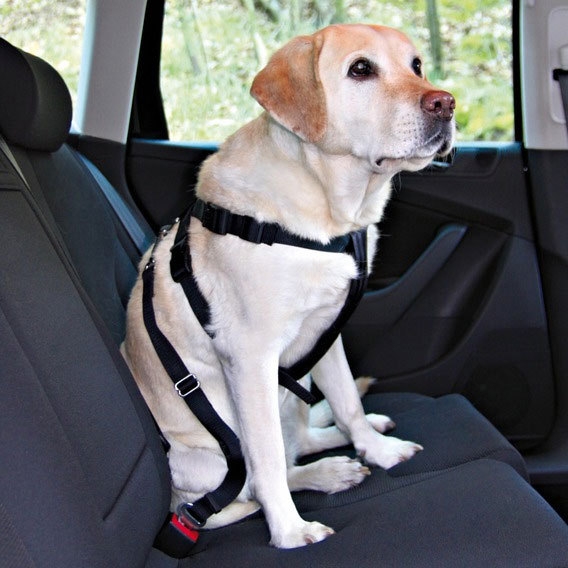 Автомобільна шлея з ременем безпеки для собак Auto Security Nobby