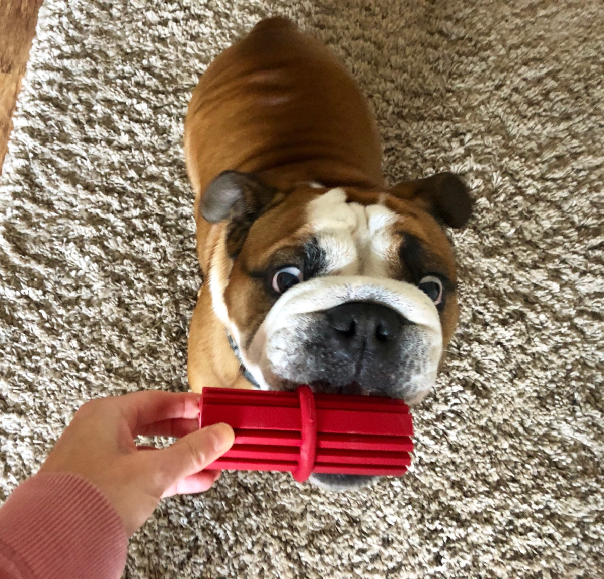 Игрушка для собак Палочка Конг для лакомств и очищения зубов KONG Dental Stick