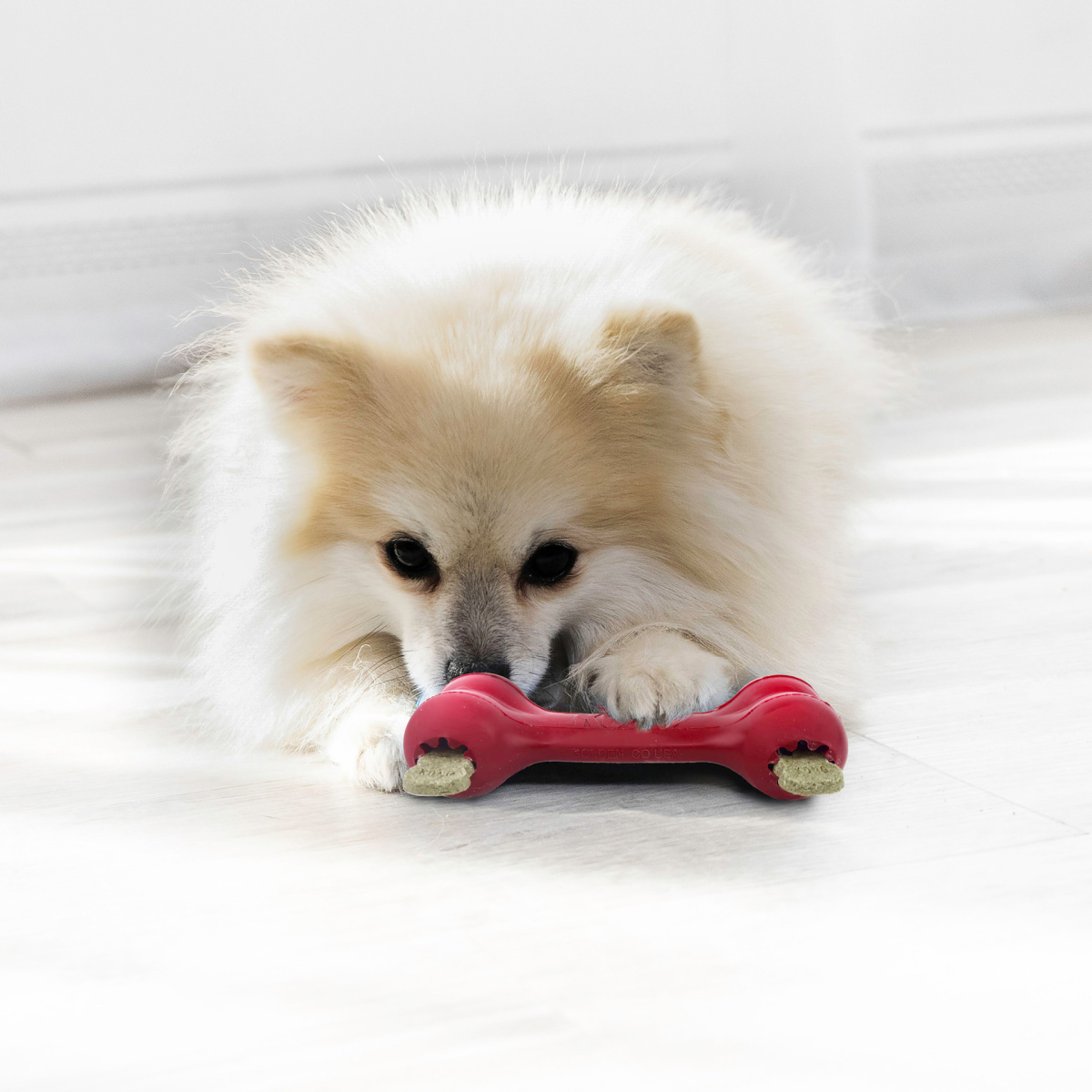 Іграшка для собак Кістка для ласощів KONG Goodie Bone