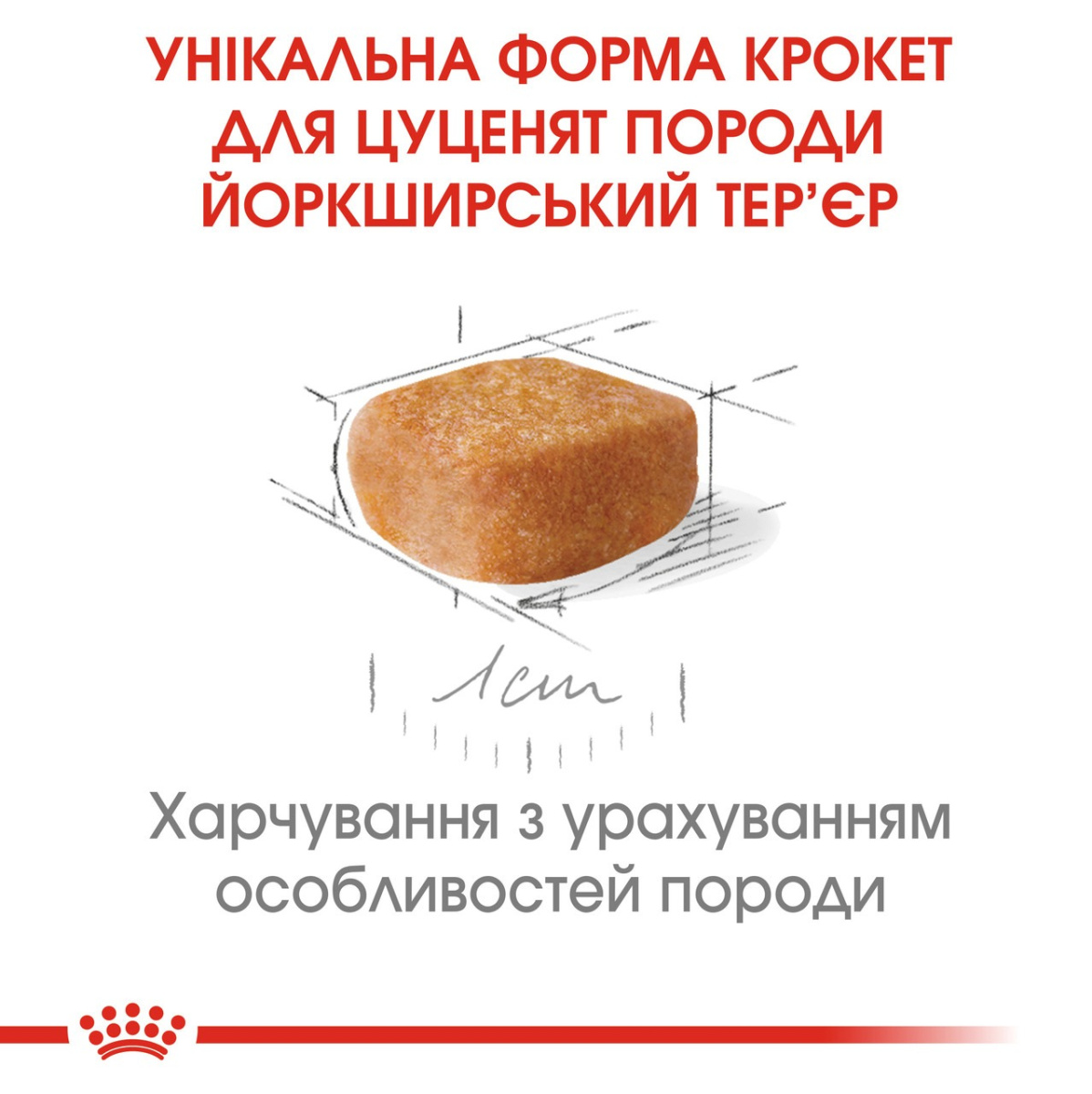 Сухий корм для цуценят породи Йоркширський Тер'єр до 10 місяців Royal Canin Yorkshire Terrier Puppy