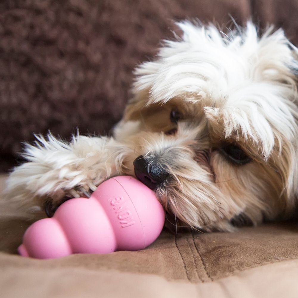 Іграшка для цуценят Конг Розвиваючий для ласощів KONG Puppy Ball Іграшка для цуценят Конг Розвиваючий для ласощів KONG Puppy Ball