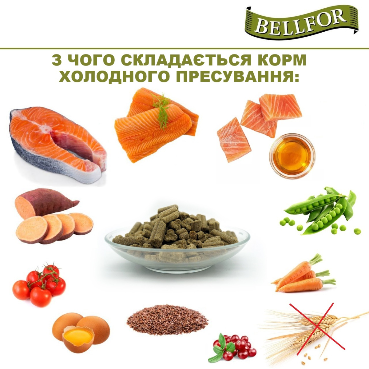 Беззерновой сухой корм для собак холистик холодного прессования с лососем и форелью Bellfor Forstbach-Schmaus