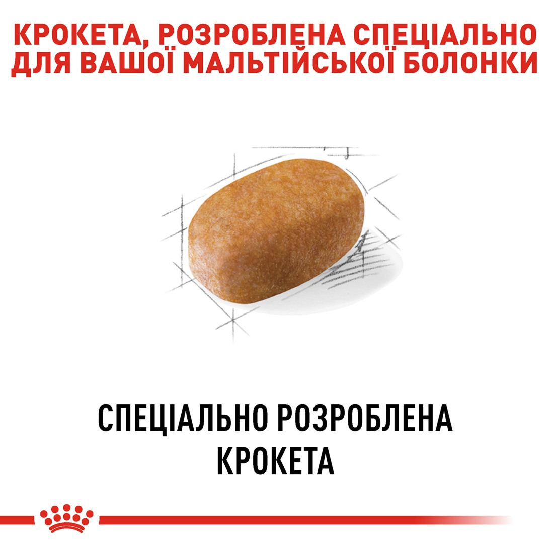 Сухий корм для собак породи Мальтійська Болонка після 10 місяців Royal Canin Maltese Adult