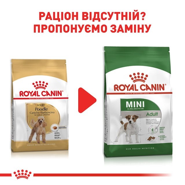 Сухой корм для собак породы Пудель Мальтипу в возрасте от 10 месяцев Royal Canin Poodle Adult