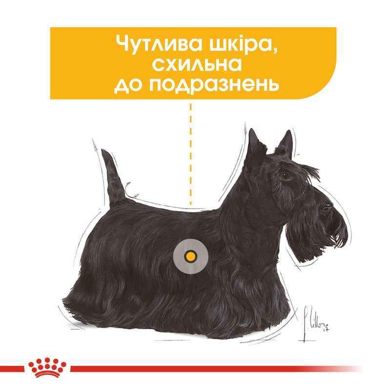 Вологий корм для дорослих собак з чутливою шкірою схильною до подразнень Royal Canin Dermacomfort