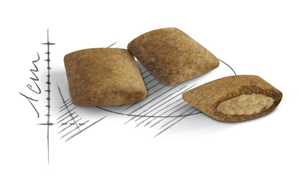 Сухой корм для стареющих кошек в возрасте от 12 лет Royal Canin Senior Ageing 12+