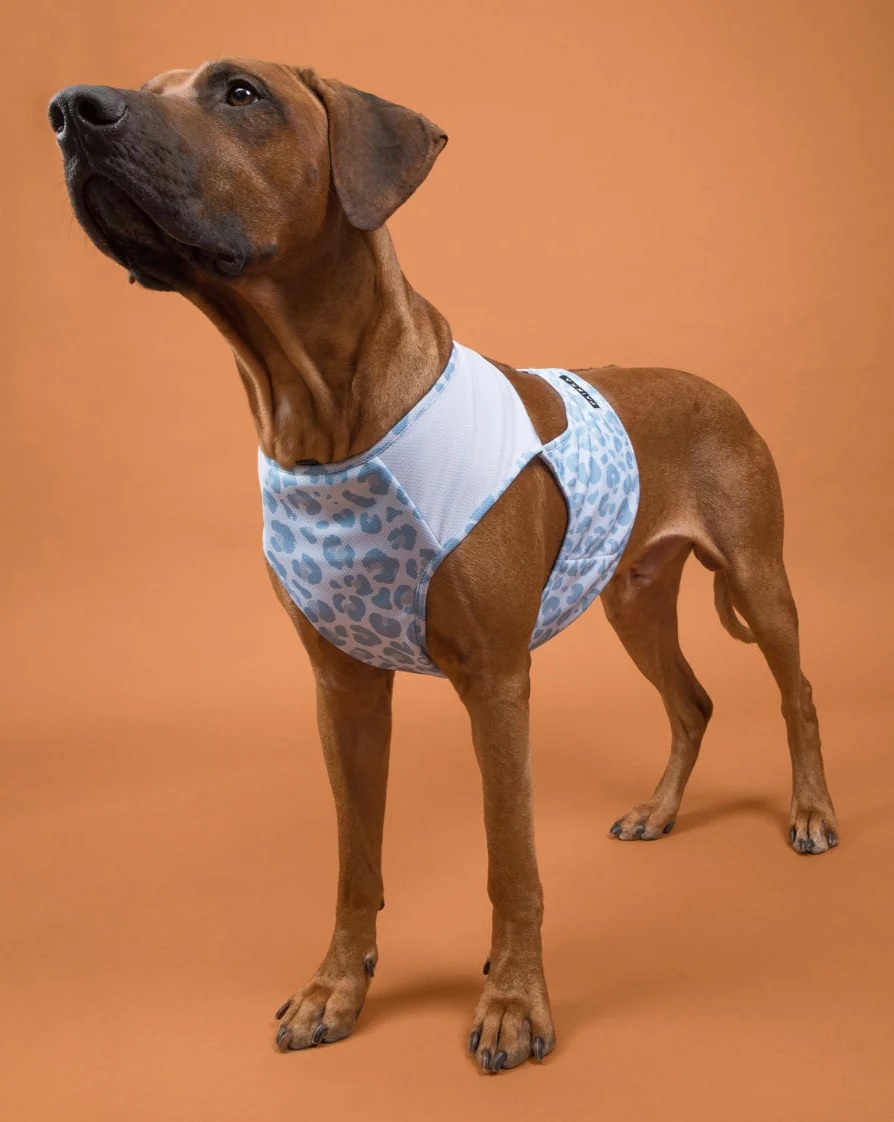 Охолоджуючий жилет для собак PAIKKA Cool Vest Snow Leo