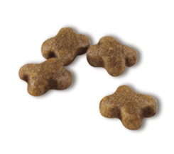 Сухой корм для котят в возрасте от 2 до 12 месяцев Royal Canin Kitten