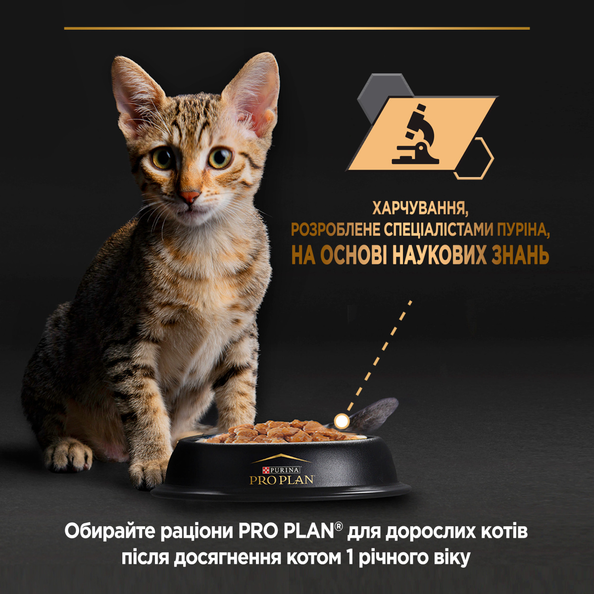 Консерва для кошенят віком від 6 тижнів Мус з куркою Purina Pro Plan Kitten Healthy Start Chicken