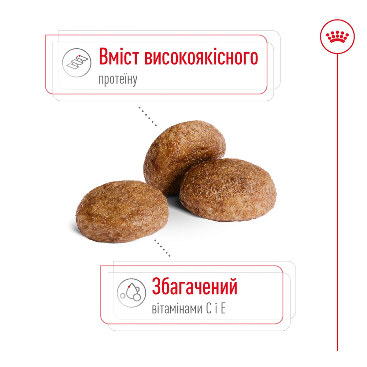 Сухой корм для пожилых собак средних пород в возрасте от 7 лет Royal Canin Medium Adult 7+