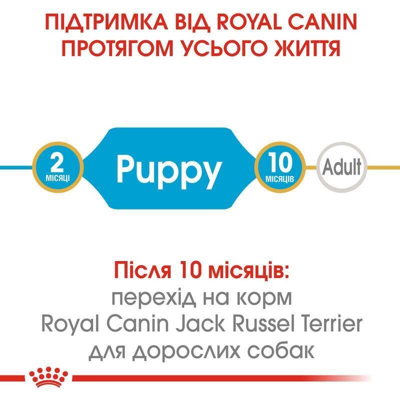 Сухий корм для цуценят породи Джек Рассел Тер'єр у віці до 10 місяців Royal Canin Jack Russel Terrier Puppy