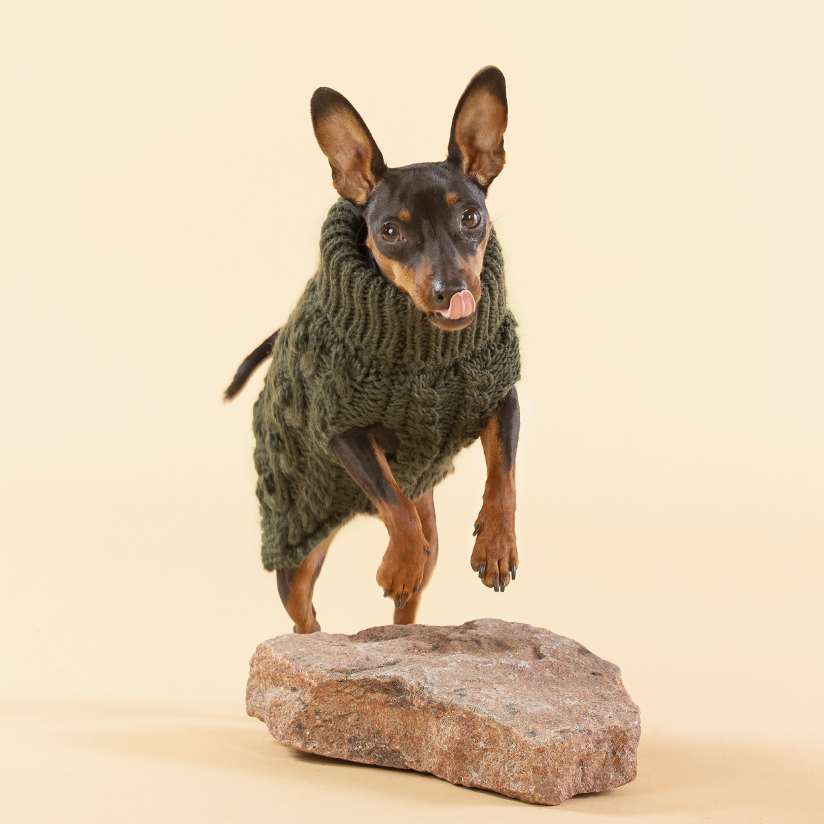 Вязаный свитер из натуральной овечьей шерсти для собак PAIKKA Handmade Knit Sweater Green