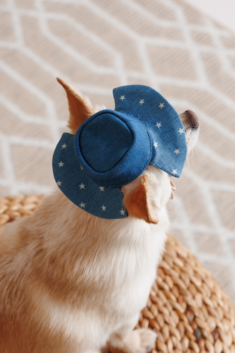 Панама для собак Зірки Pet Fashion Dog Sun Hat Stars