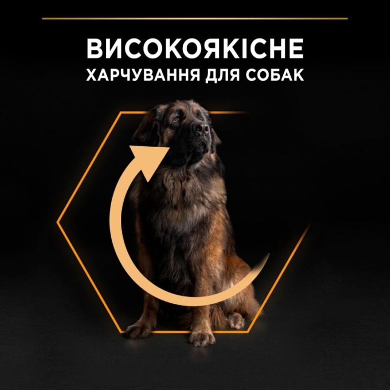 Сухой корм с курицей для больших собак массивного телосложения Purina Pro Plan Large Robust Adult 2+ Chicken