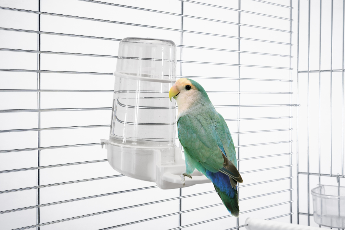 Диспенсер для воды пластиковый с насестом для птиц Imac Giusy