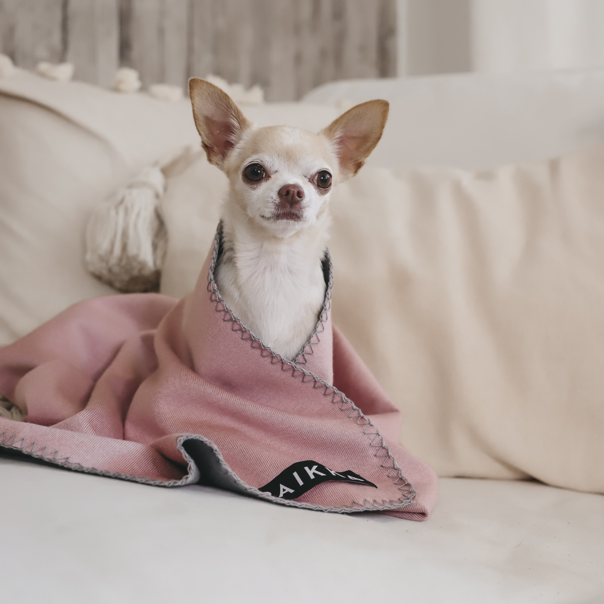 Восстанавливающее розовое FIR-одеяло с дорожной сумкой для собак PAIKKA Recovery Blanket Pink Восстанавливающее розовое FIR-одеяло с дорожной сумкой для собак PAIKKA Recovery Blanket Pink