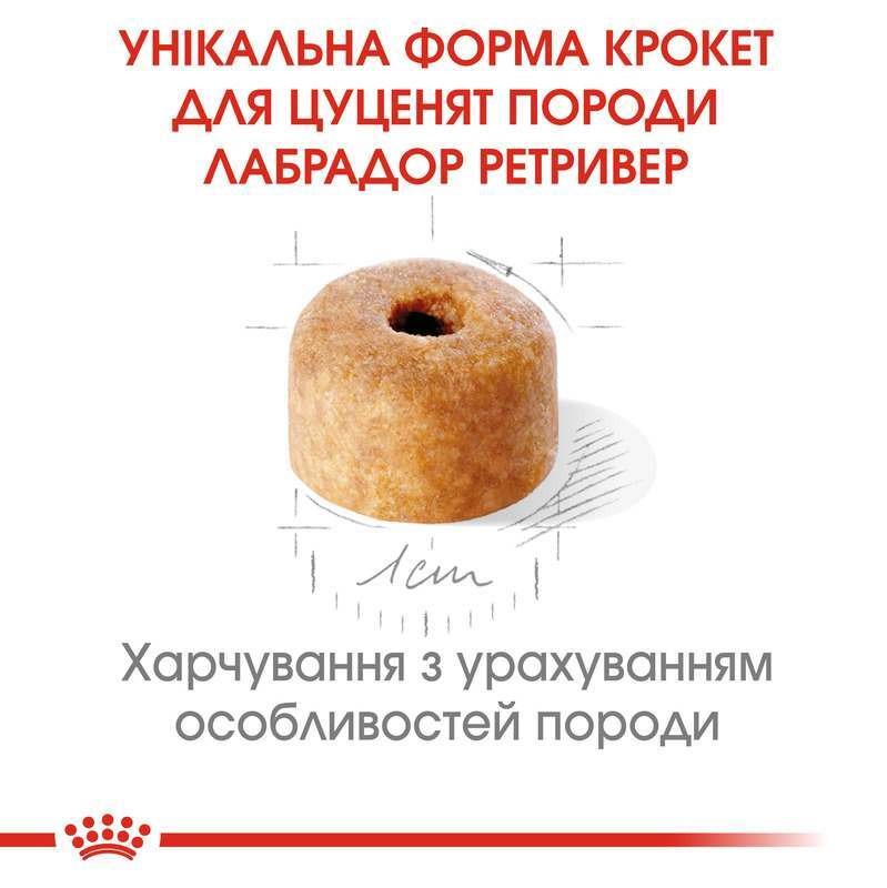 Сухой корм для щенков породы Лабрадор до 15 месяцев Royal Canin Labrador Retriever Puppy