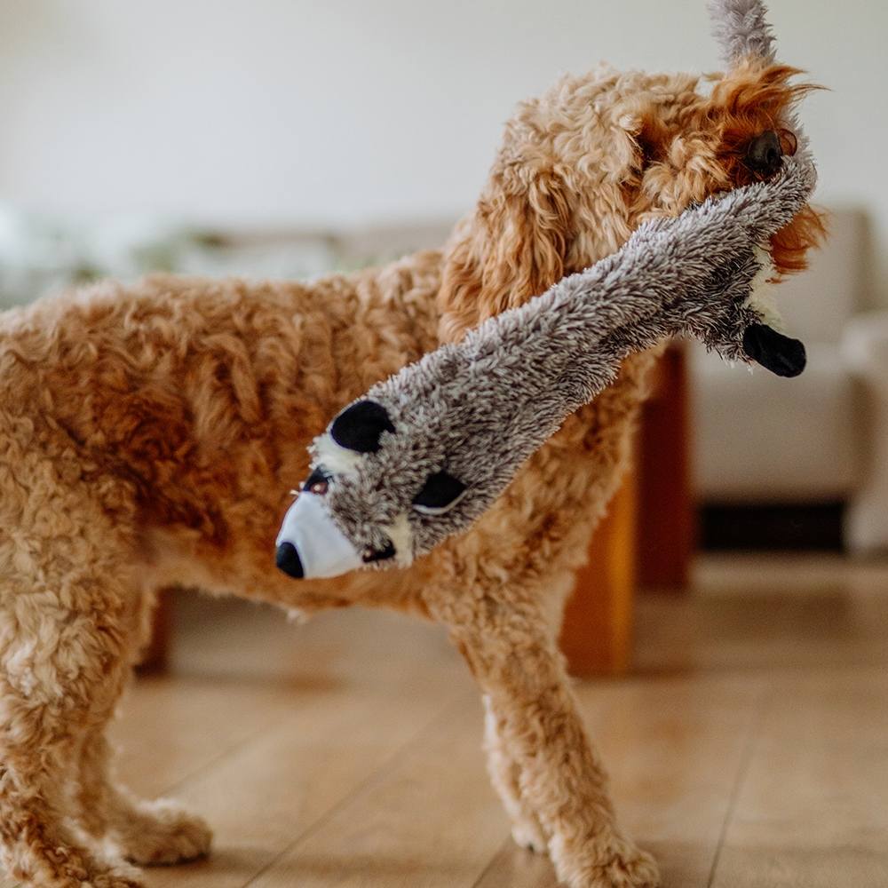 М'яка іграшка для великих собак Плюшевий Єнот з двома пищалками Raccoon Plush Nobby