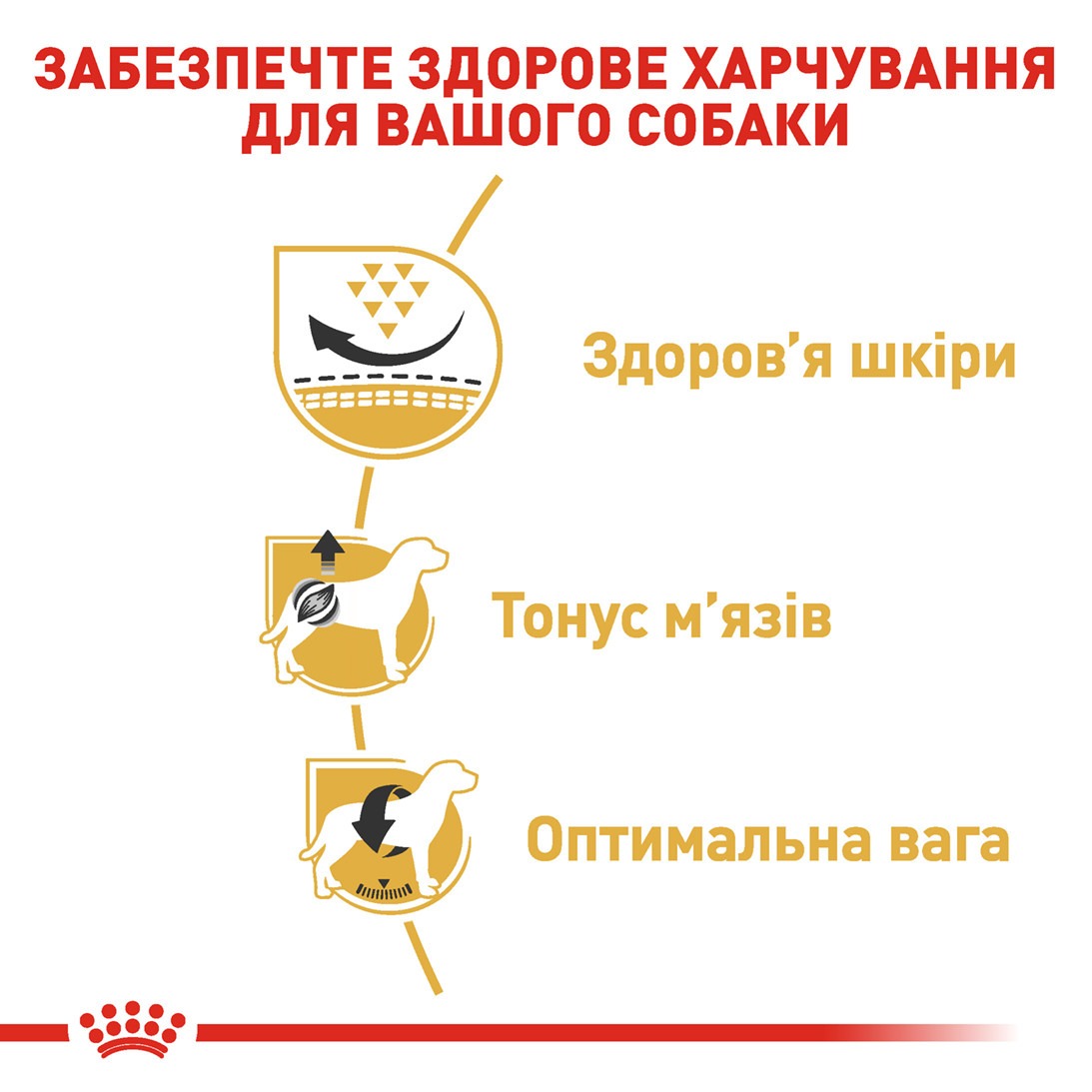 Сухий корм для собак породи Мопс від 10 місяців Royal Canin Pug Adult