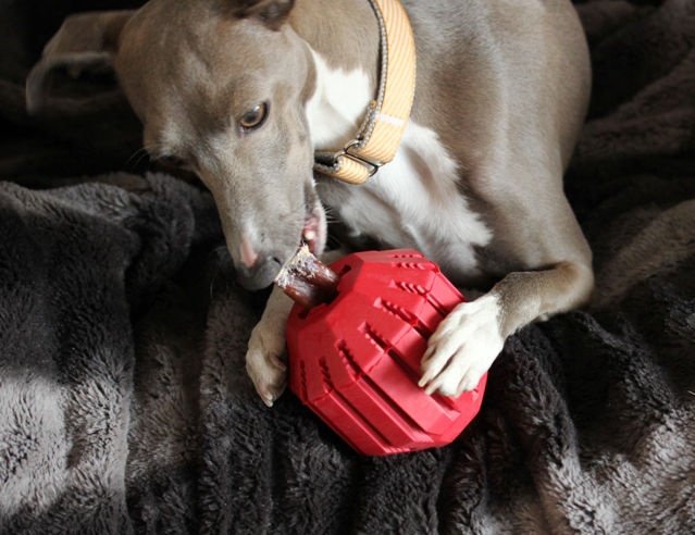 Іграшка для собак Конг М`яч Жувальний для ласощів KONG Stuff-A-Ball