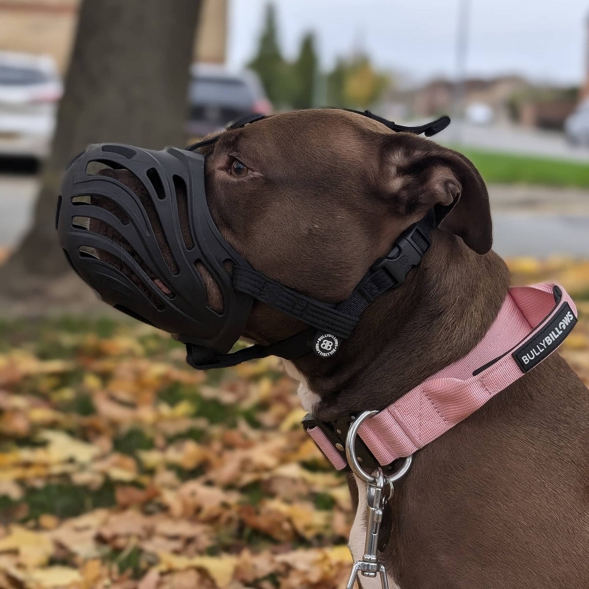 Анатомічний антифрикційний намордник для собак BullyBillows Flexible Cage Muzzle S-XL Breeds Анатомічний антифрикційний намордник для собак BullyBillows Flexible Cage Muzzle S-XL Breeds