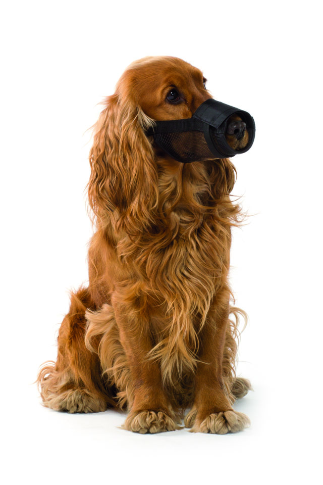 Ветеринарний нейлоновий намордник для собак Imac Museruola