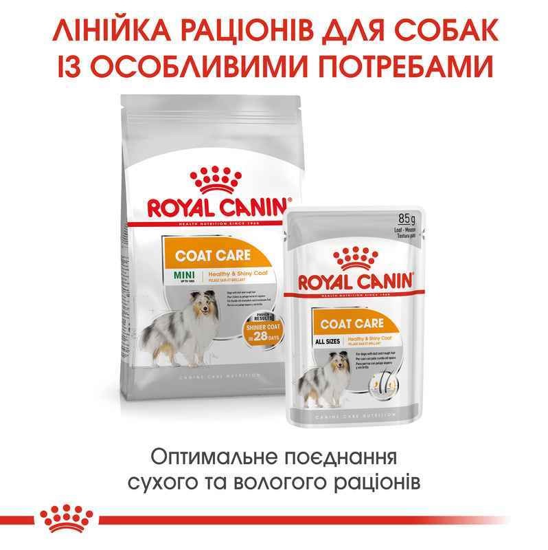 Вологий корм для дорослих собак з тьмяною та жорсткою шерстю Royal Canin Coat Care