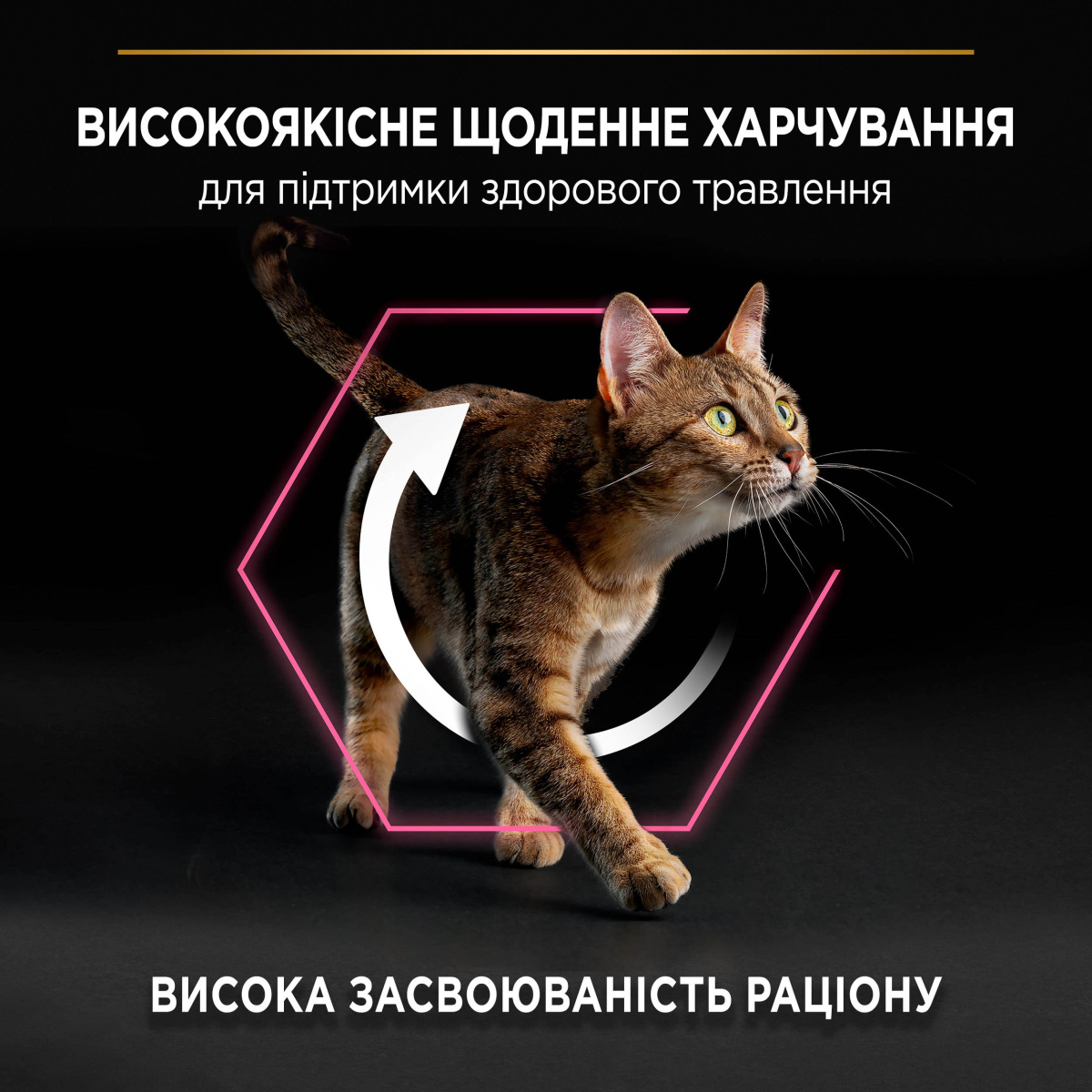 Сухий корм з ягням для вибагливих котів з чутливим травленням Purina Pro Plan Delicate Digestion Adult 1+ Lamb