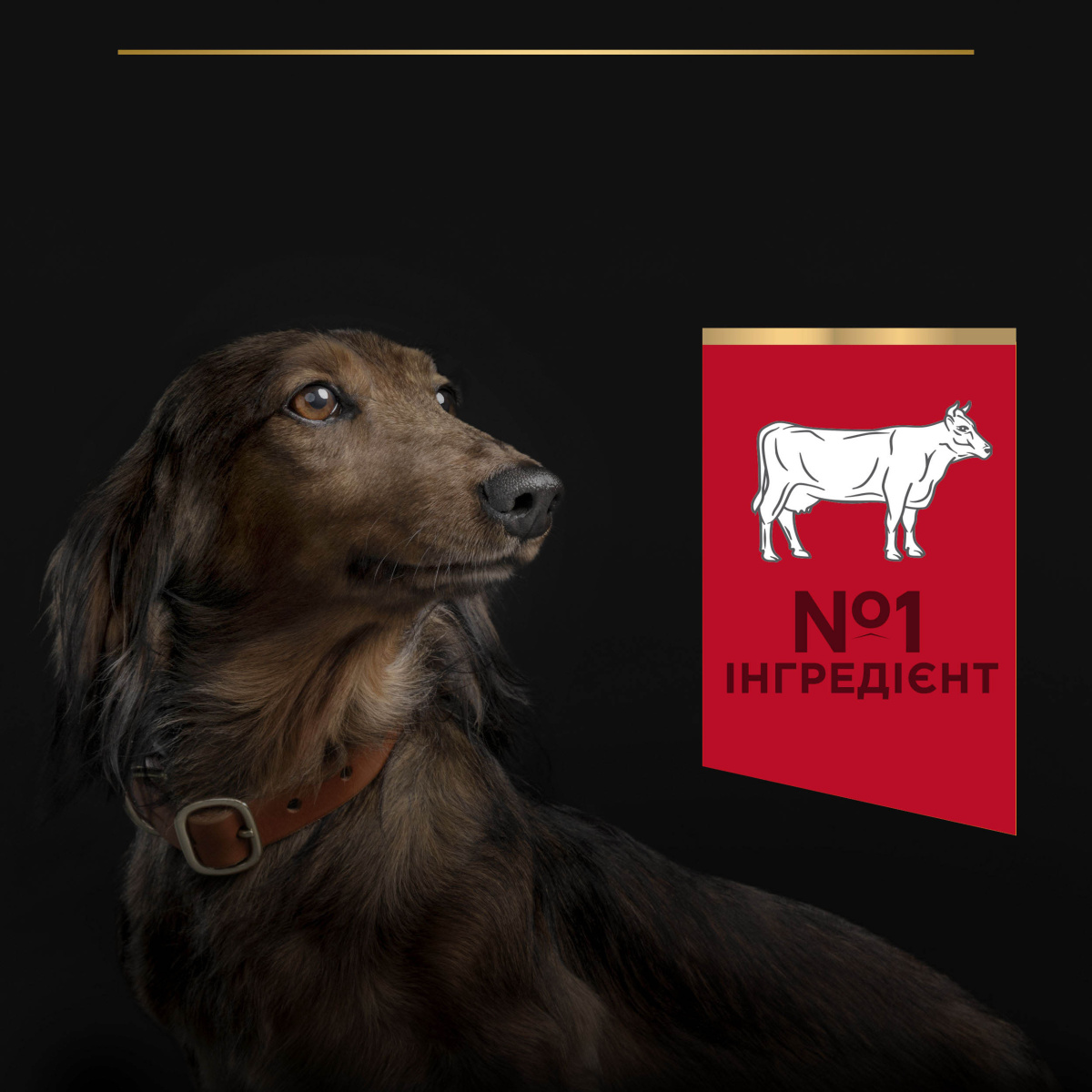 Сухий корм для собак маленьких порід з Яловичиною та Рисом Purina Pro Plan Small & Mini Adult 1+ Duo Delice Beef & Rice