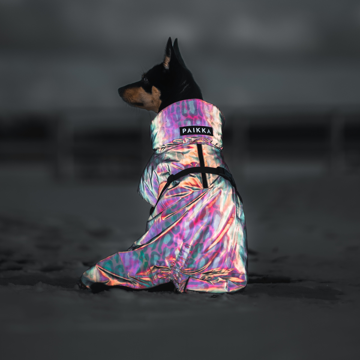 Зимова куртка зі спеціальною FIR-підкладкою для собак PAIKKA Visibility Winter Jacket Jungle