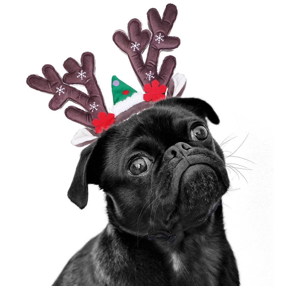 Новорічний обруч для собак Ріжки Оленяти Fawn Christmas Dog Headband Nobby