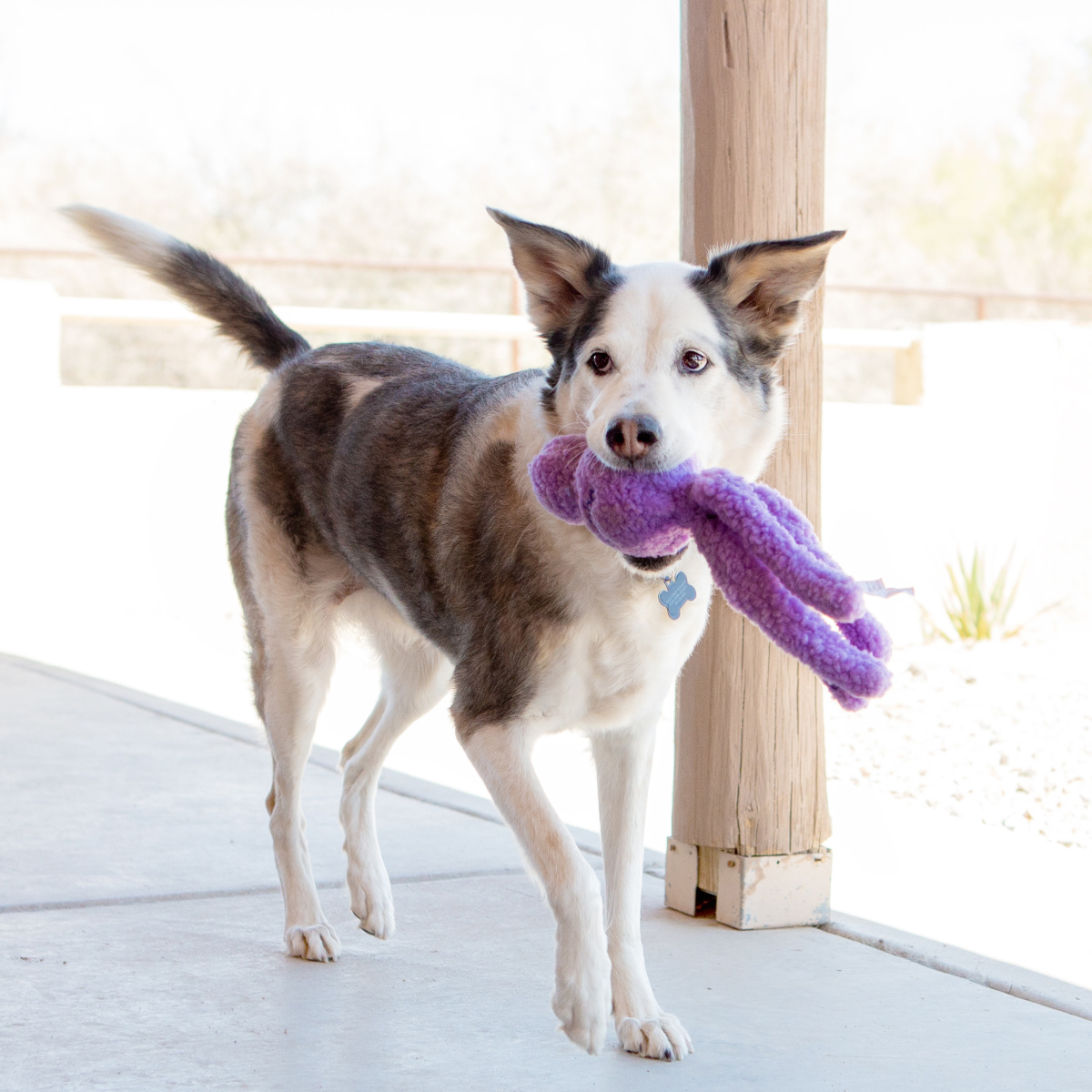 Іграшка для собак Безшумні Тварини Вубба KONG Wubba Snugga